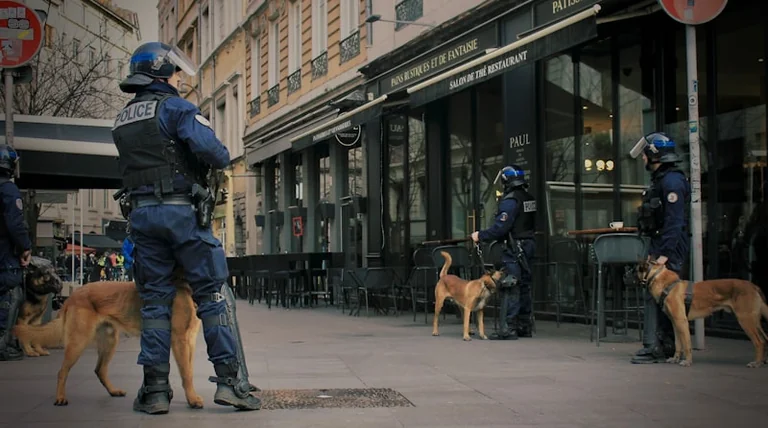 À Lyon, l’été met les animaux de compagnie à risque