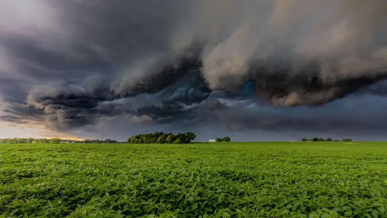 À Tours, l’orage place tout un département en alerte