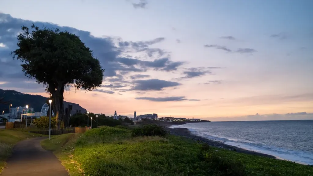 Chemin côtier au coucher du soleil à Saint-Denis, La Réunion, bordé par un grand arbre.