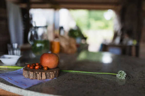 Près d’Orléans, ce potager attire au-delà des légumes