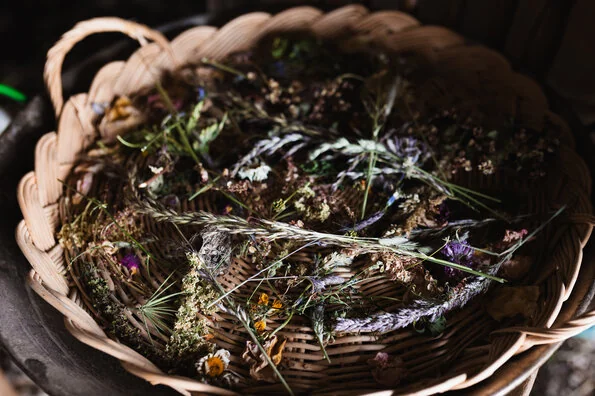 Près d’Orléans, ce potager attire au-delà des légumes