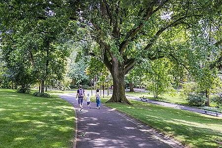À Angers, deux grands parcs attendent votre avis
