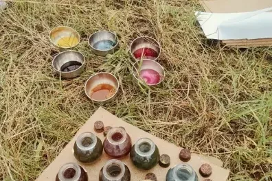 À Bordeaux, une balade gratuite explore les plantes tinctoriales
