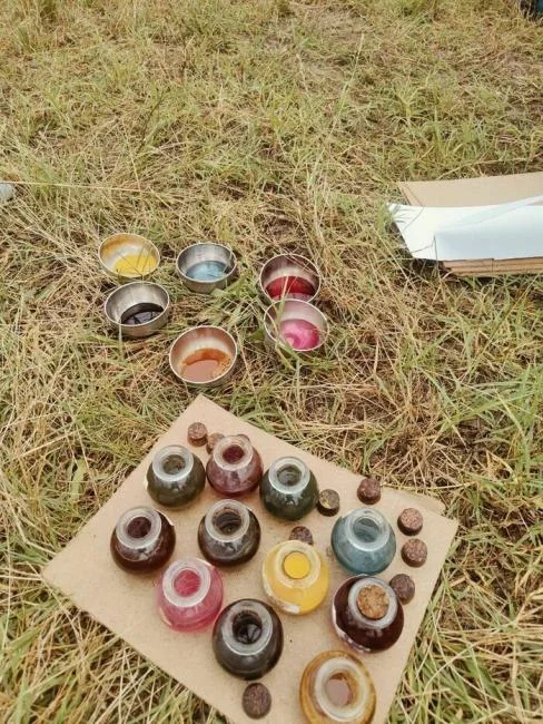 À Bordeaux, une balade gratuite explore les plantes tinctoriales