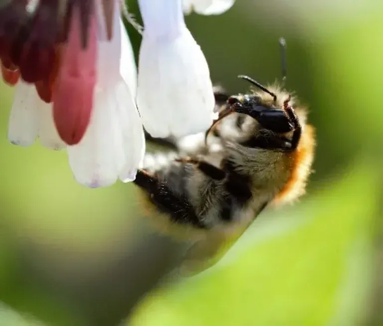À Brest, le cliché nature préféré des habitants dévoilé