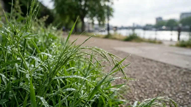 À Caen, une balade gratuite révèle la ville côté nature
