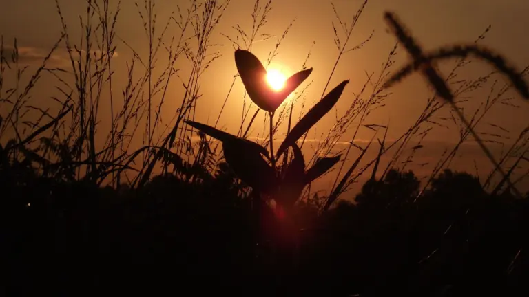 À Celles, une balade gratuite au coucher du soleil