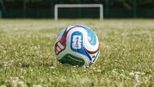 Un ballon de football officiel posé sur une pelouse verte devant un but flou.