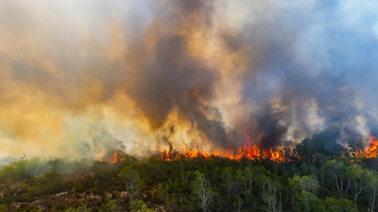 À Montpellier, les gestes qui peuvent éviter un feu