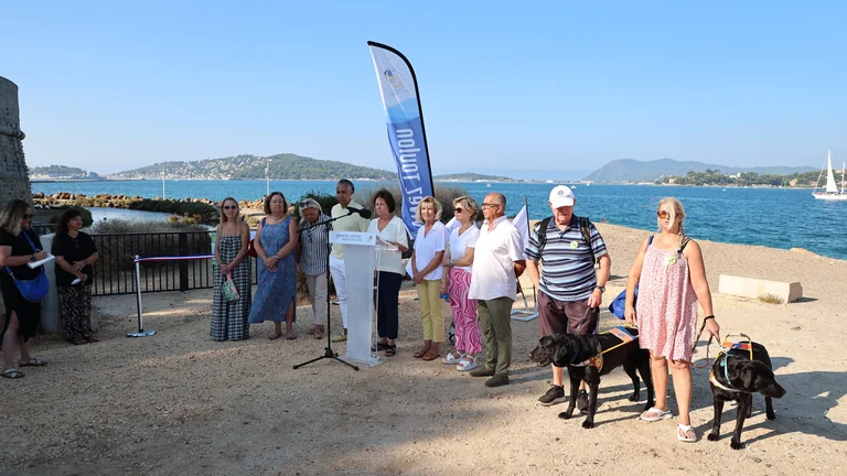 À Toulon, une baignade adaptée aux chiens peu nageurs