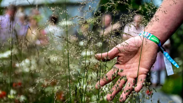 Une main effleure des herbes hautes dans un jardin botanique en été.