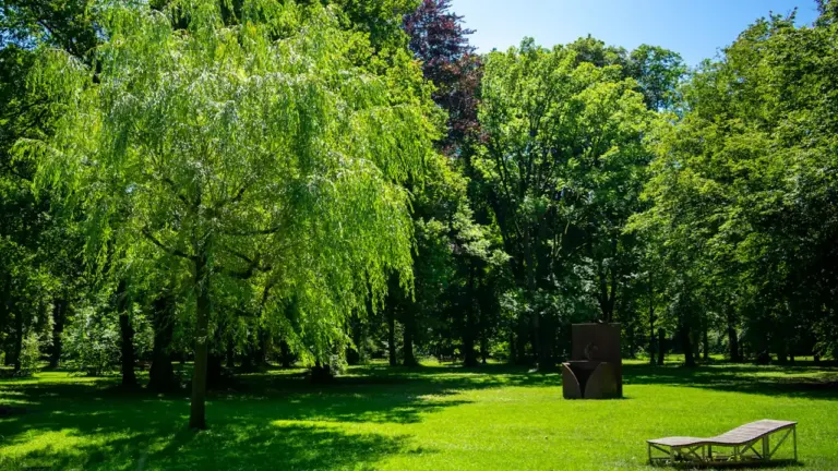 À Valenciennes, l’été du CHV anime le parc Désandrouin