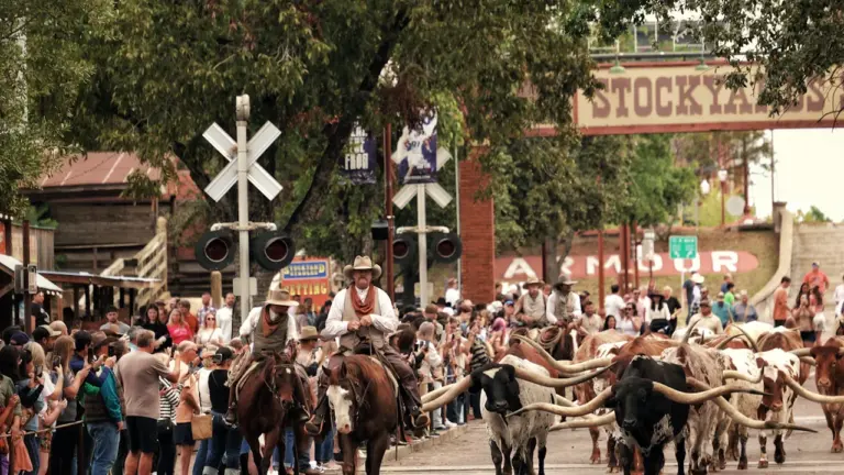 Ermont : un Far West gratuit au parc le 22 juillet
