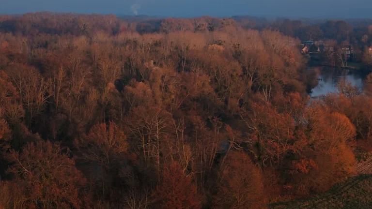 Feu de forêt près de Dijon : les habitants appelés à rester chez eux