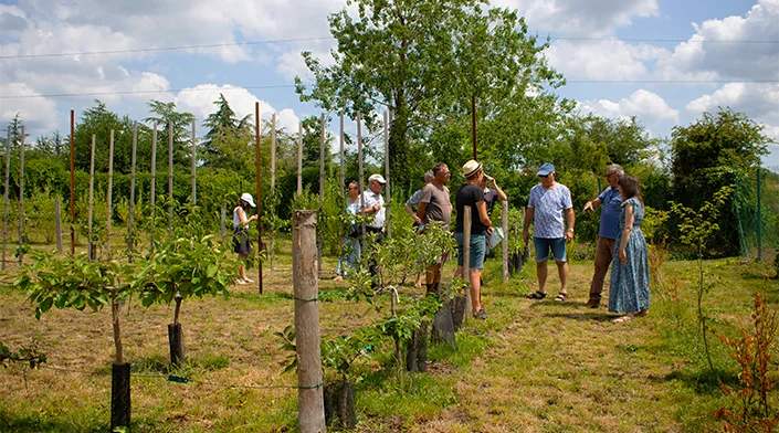 Grand-Quevilly : apprenez à tailler vos arbres fruitiers le 22 juillet