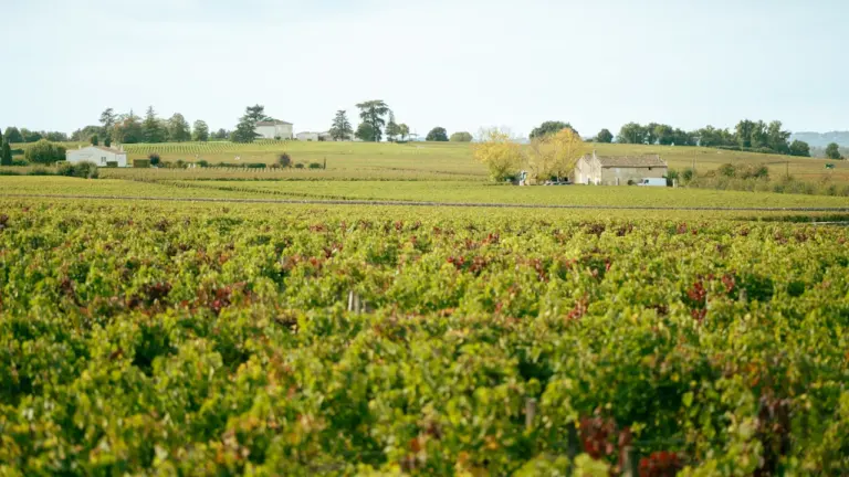 Incendies : depuis Bordeaux, des retours sous conditions
