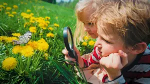 Deux jeunes enfants observent un papillon sur des pissenlits avec une loupe dans l'herbe.