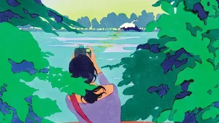Nantes : l’Étoile verte en fête gratuitement du 23 au 26 juillet