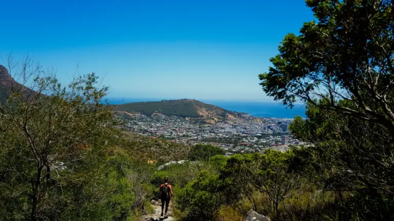 Trail des Hauteurs à Bondy : des parcours dès 5 €