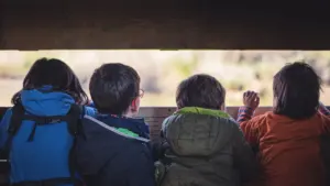 Quatre enfants observent la nature sauvage depuis un observatoire en bois en extérieur.