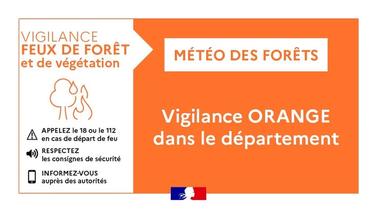 À Rezé, l’alerte incendie bouleverse les sorties en forêt
