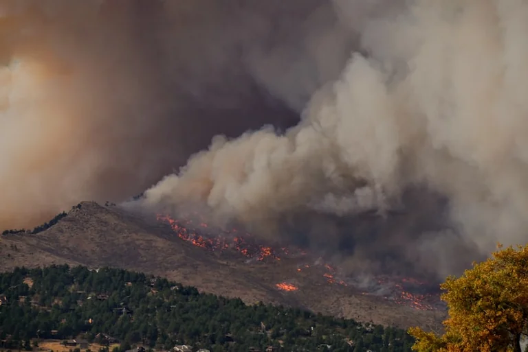 À Rezé, l’alerte incendie bouleverse les sorties en forêt