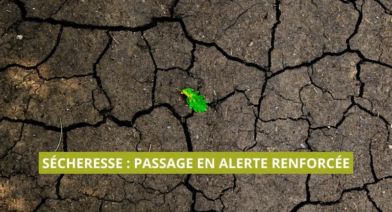 À Vaulx-en-Velin, l’eau sous de nouvelles limites cet été