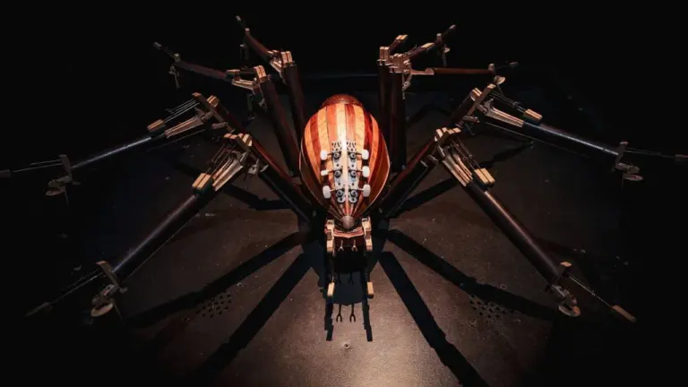 Anima (Ex) Musica au Havre : 13 insectes jusqu’au 4 octobre
