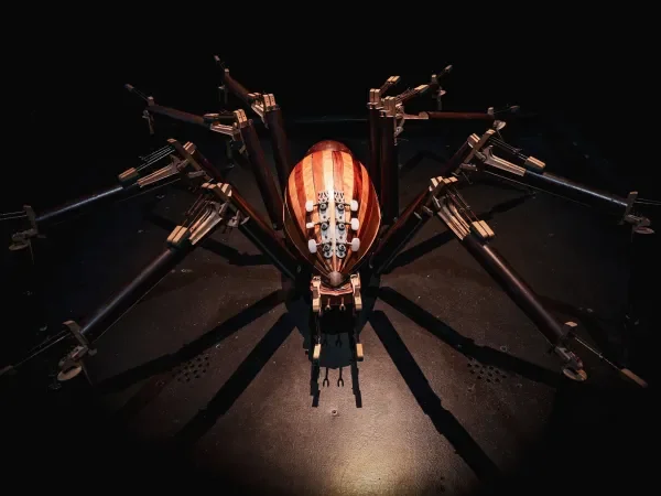 Anima (Ex) Musica au Havre : 13 insectes jusqu’au 4 octobre