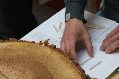 ARBOREACARLO à Bordeaux : atelier gratuit le 26 août: ce qu'il faut retenir