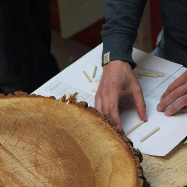 ARBOREACARLO à Bordeaux : atelier gratuit le 26 août: ce qu'il faut retenir