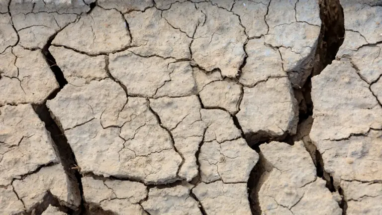 Canicule à Montpellier : les bons réflexes pour se protéger