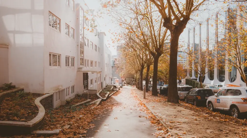 Une rue urbaine bordée d'arbres en automne avec des voitures garées sur le côté.