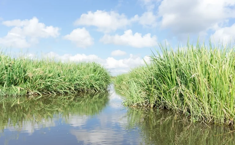 Découvrir la Loire à Orléans : une balade sur l'EVURTIUS