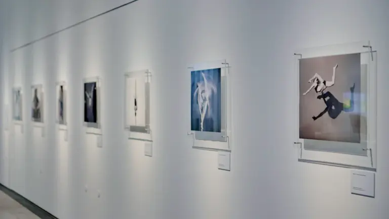 Exposition à Caen : les visites guidées au Musée de Normandie