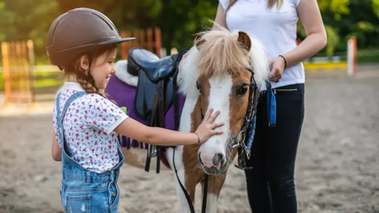 Une jeune fille en casque d'équitation caresse un poney sellé dans un centre équestre.
