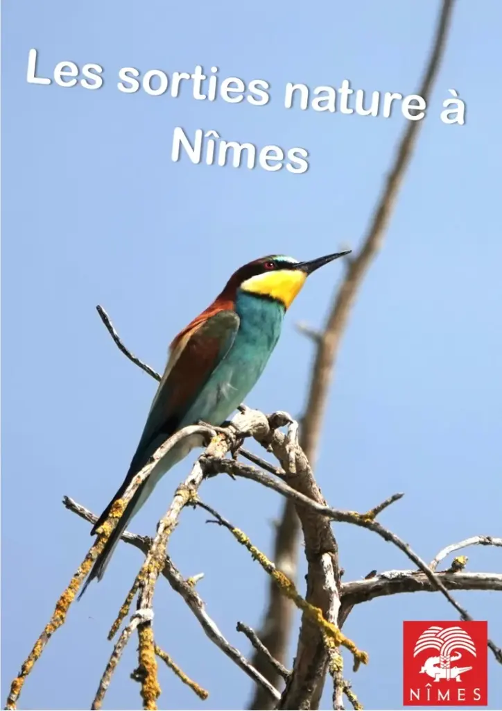 Le Réveil des oiseaux à Nîmes, gratuit le 23 août