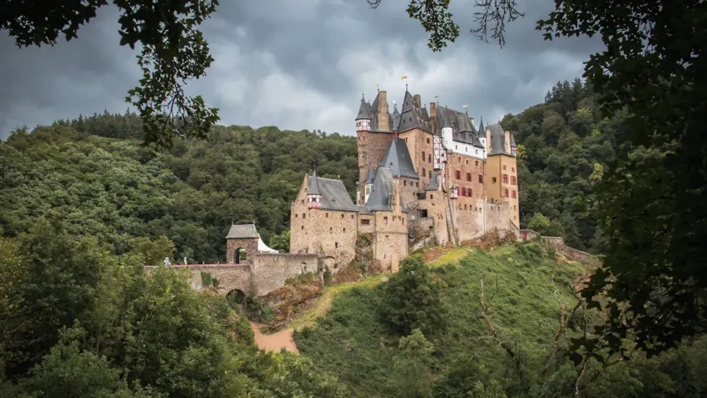 Vue panoramique d'un château médiéval majestueux perché sur une colline boisée.