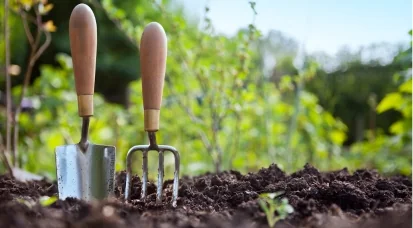 Zoom sur les aromates à Grand Quevilly, gratuit le 17 août