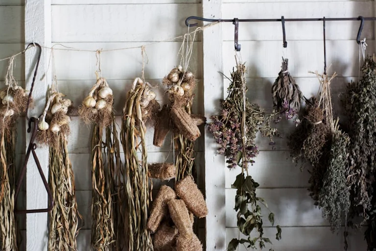 Zoom sur les aromates à Grand Quevilly, gratuit le 17 août