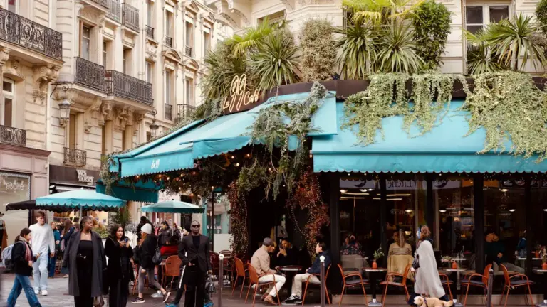 À Albi, un café où les chiens sont rois ouvre rue de l’Hôtel de Ville