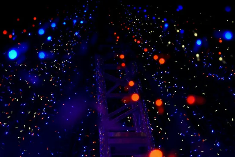 10 ans du Quai des Savoirs : le festival Lumières sur le Quai s'étend sur les vacances