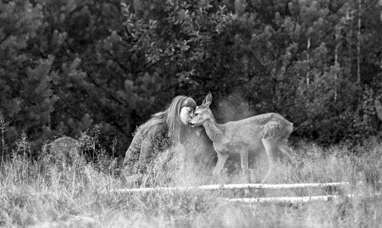 Forêt de Białowieża : l'expo photo gratuite à Toulouse dès décembre