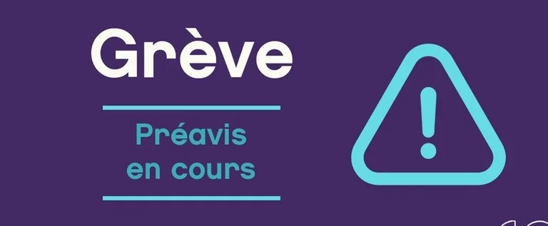 Grève du 16 octobre à Colomiers : quelles écoles ferment leur Alaé ?