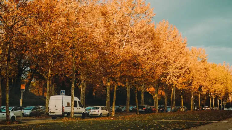 Vacances d’automne à Toulouse : le guide des sorties à ne pas manquer