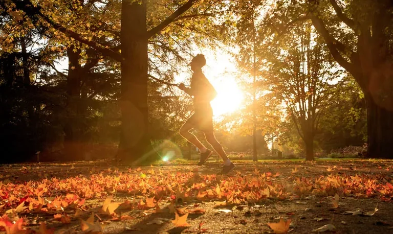 Vacances d'automne à Toulouse : le guide des sorties à ne pas manquer