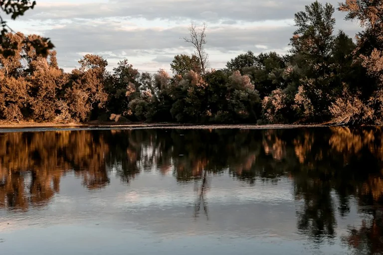 Vacances d'automne à Toulouse : le guide des sorties à ne pas manquer