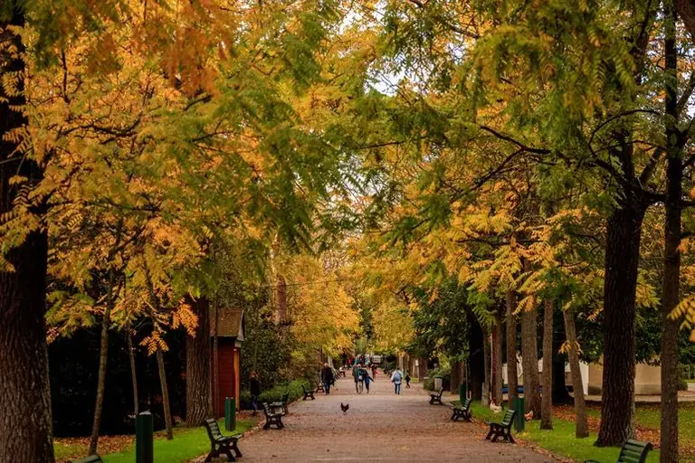Vent fort à Toulouse : 17 parcs et jardins fermés dès 9h ce vendredi